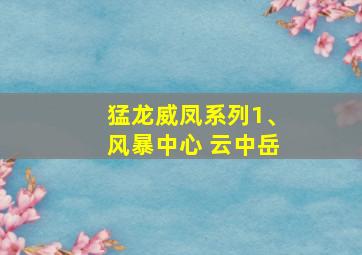 猛龙威凤系列1、风暴中心 云中岳